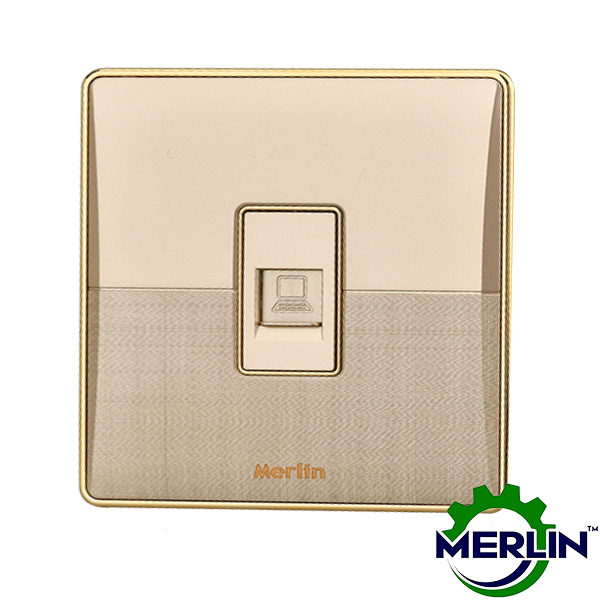 Internet Socket | DATA socket | Elegant Gold